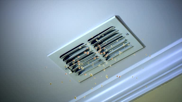 Best Ductwork Cleaning Services  in Carlisle Rockledge, AL